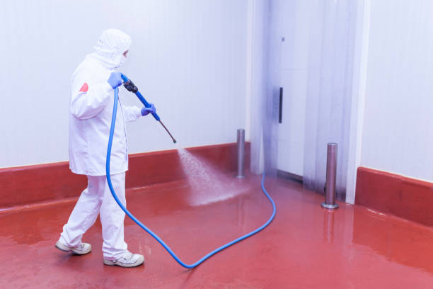 Best Spring Cleaning  in St Louis, MO